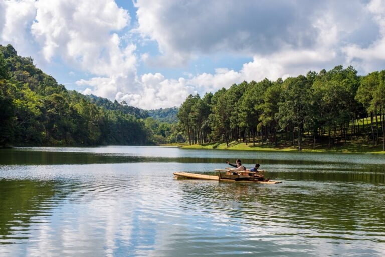 Backwater Tours